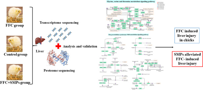 Image, graphical abstract