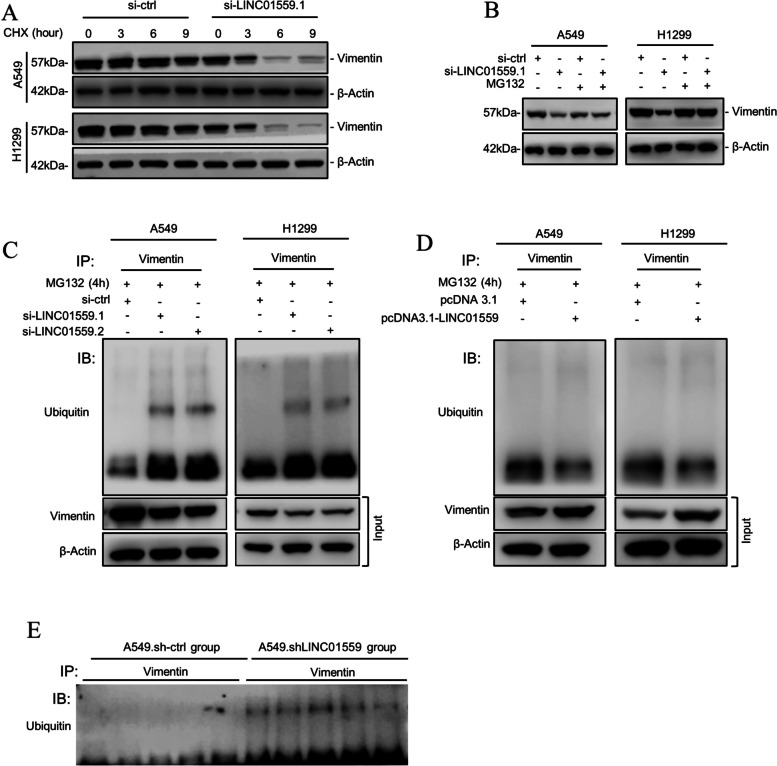 Fig. 6