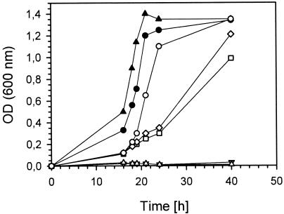 FIG. 5.