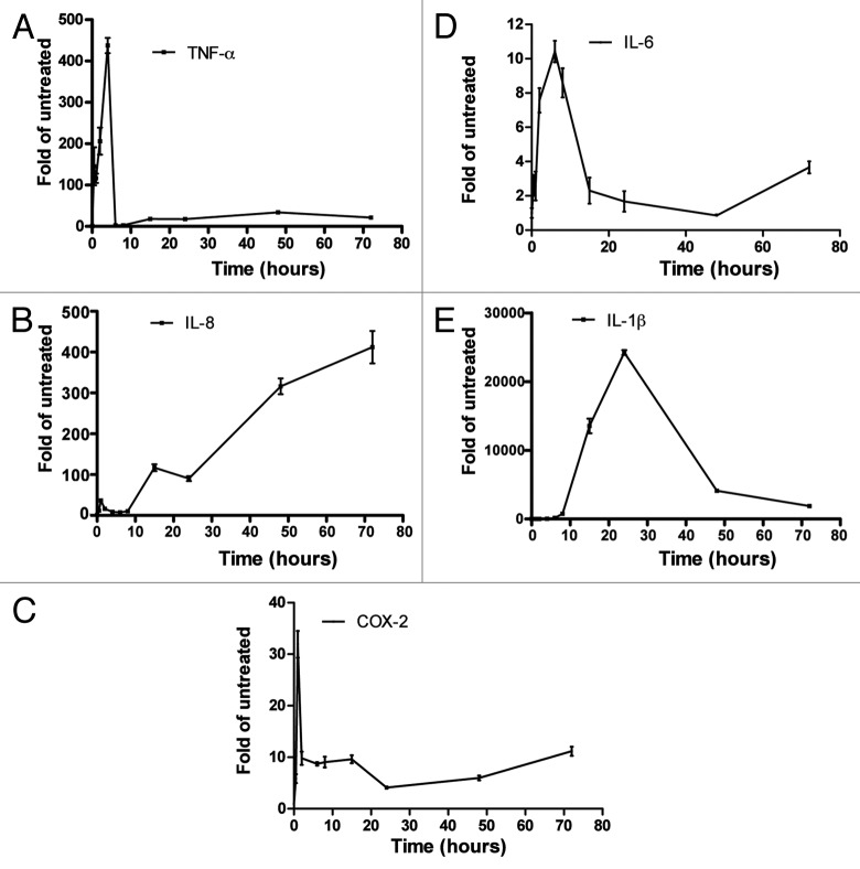 graphic file with name rna-11-124-g1.jpg