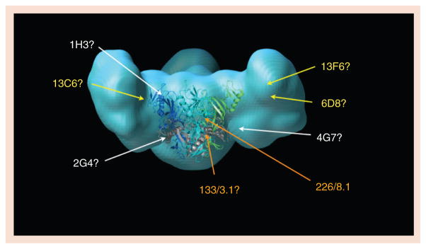 Figure 4