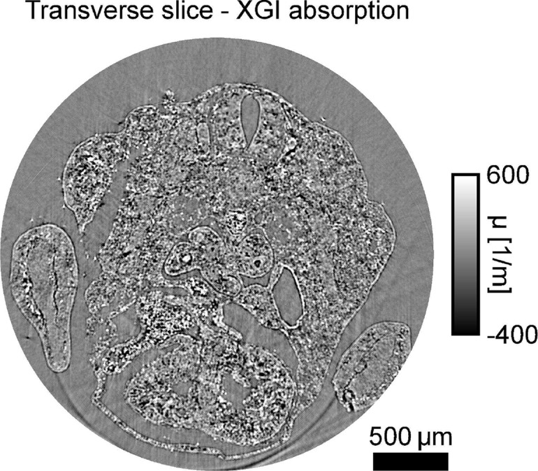 Fig. 8