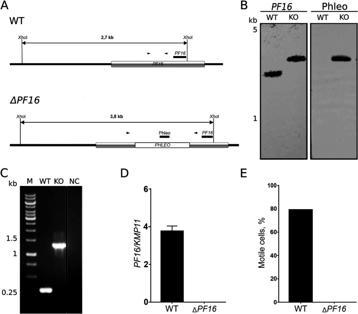 FIG 4