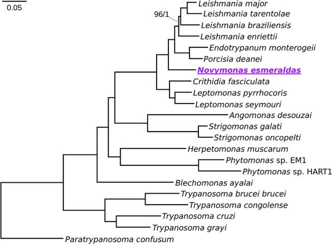 FIG 3