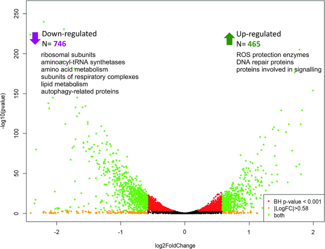 FIG 2