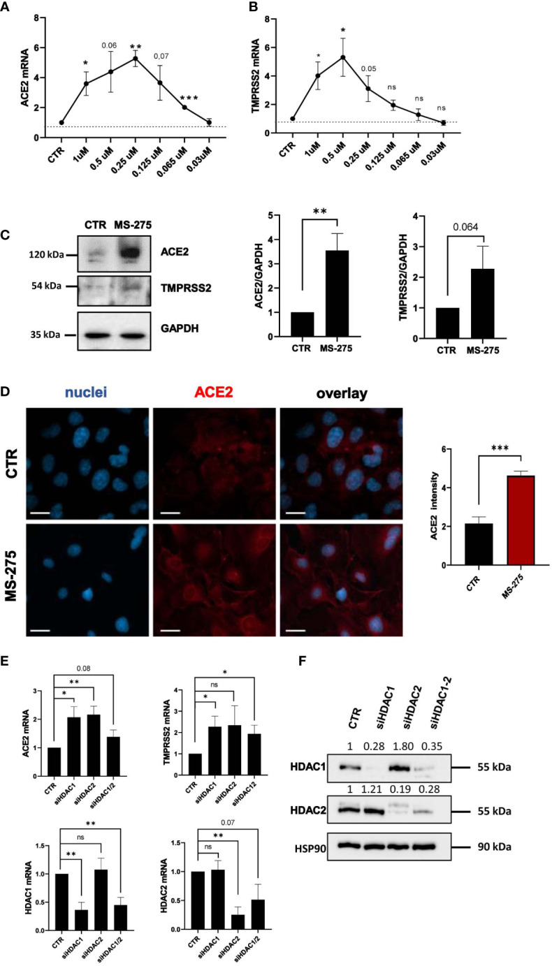 Figure 2