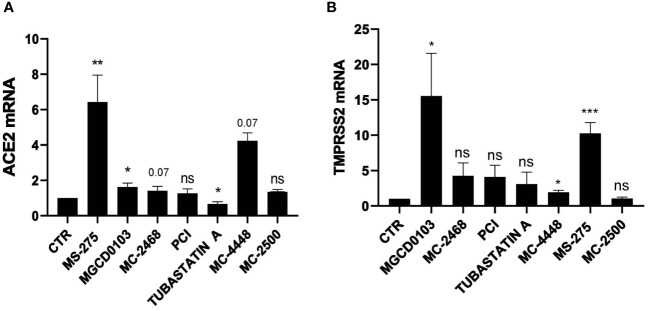 Figure 1