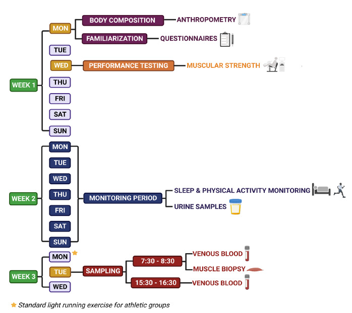 Fig 1.