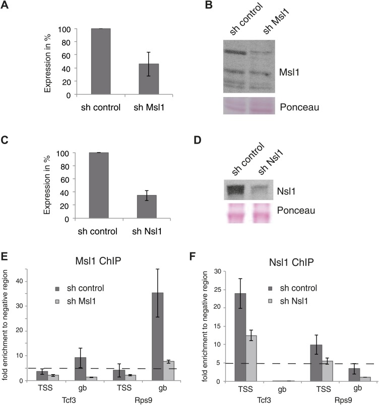 Figure 2—figure supplement 2.