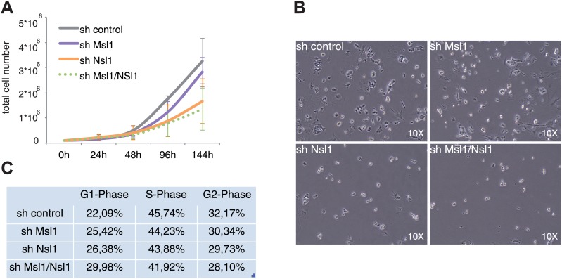 Figure 6.