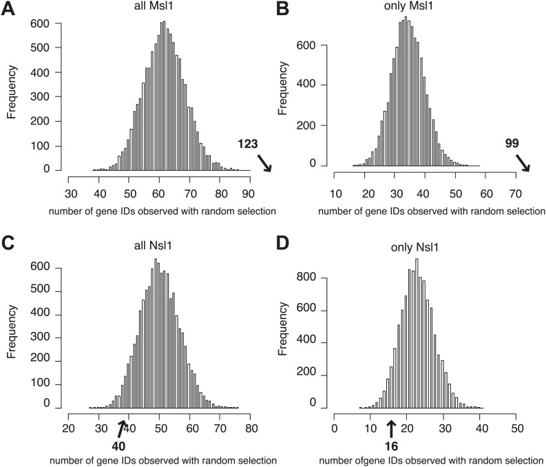 Figure 5—figure supplement 2.