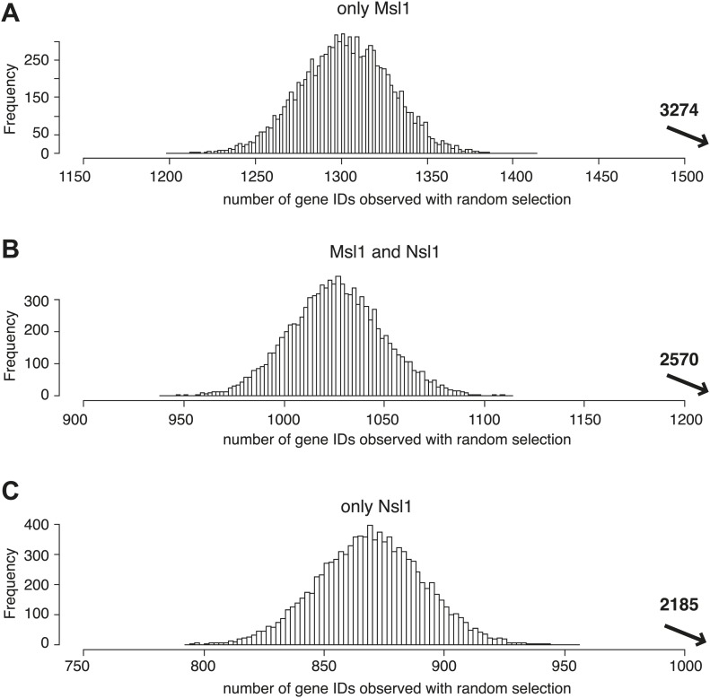 Figure 5—figure supplement 1.