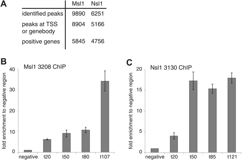 Figure 2—figure supplement 1.