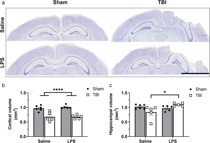 Fig. 12