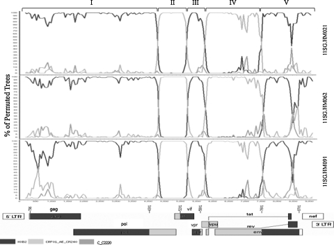 FIG. 2.