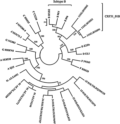 FIG. 1.