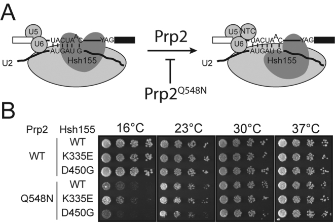 Figure 6.