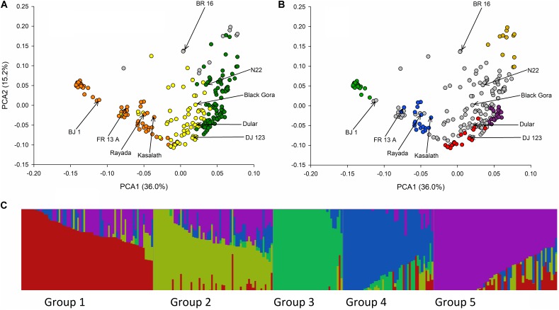 FIGURE 2