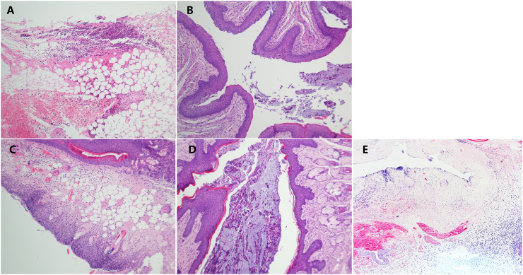 Fig. 7