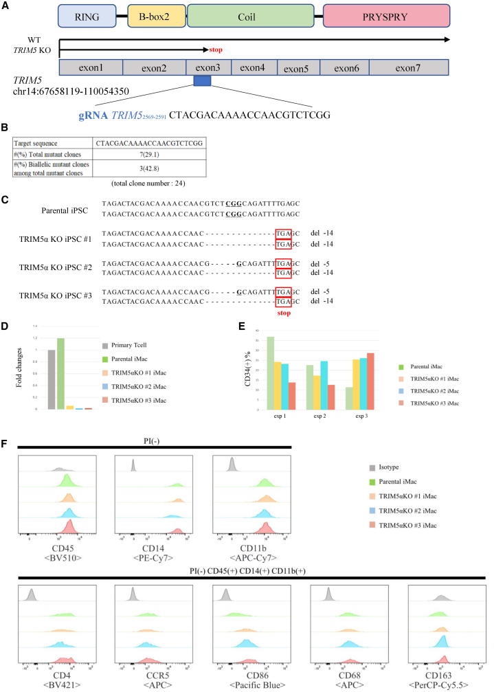 Figure 4