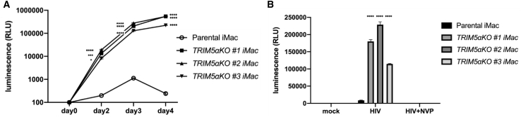 Figure 5