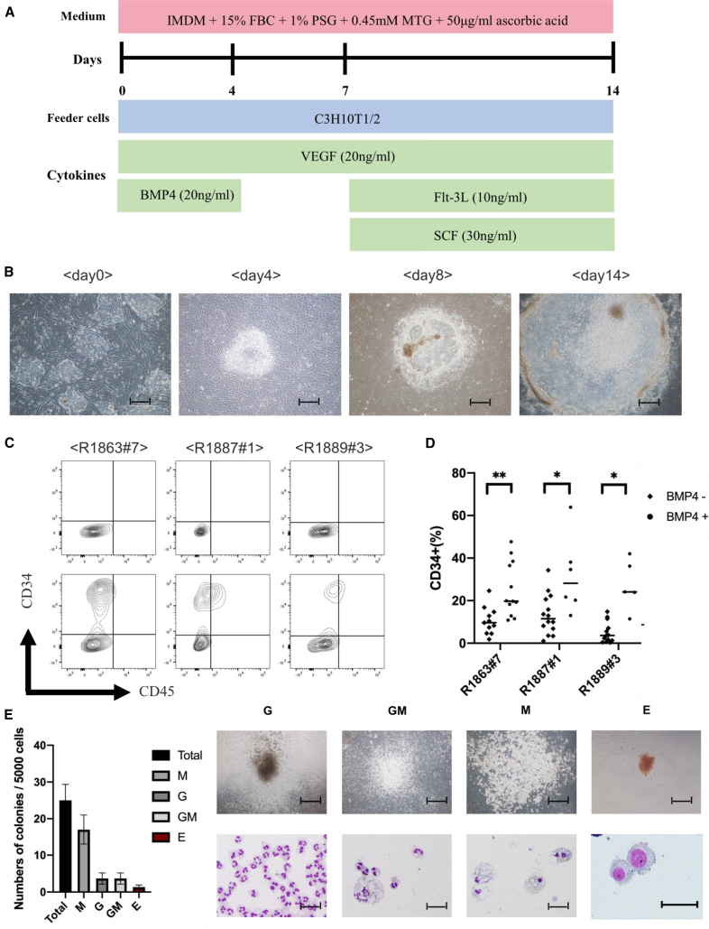 Figure 2