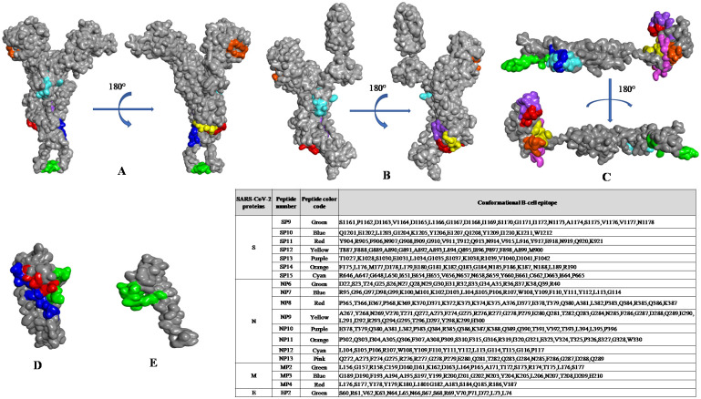 Fig 3