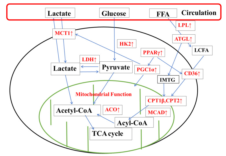 Figure 9