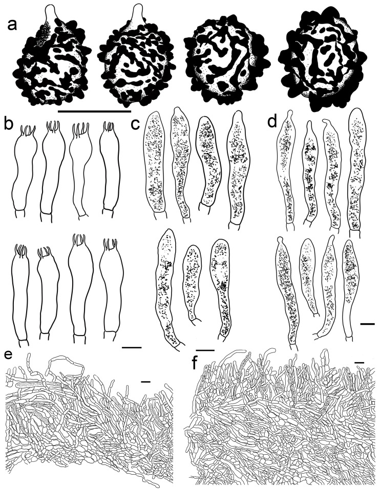 Figure 9