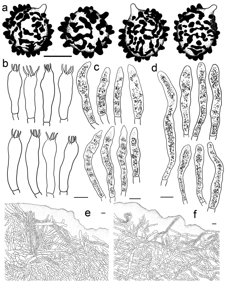 Figure 12