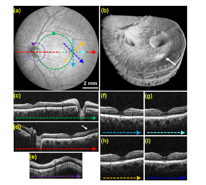 Fig. 8