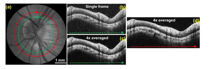 Fig. 9