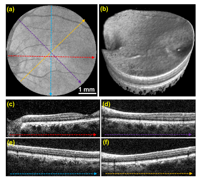 Fig. 7