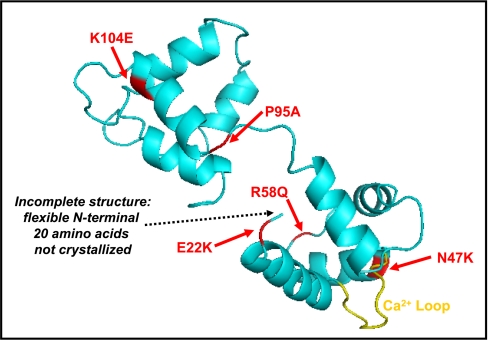 Fig. 8.