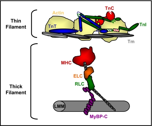 Fig. 1.