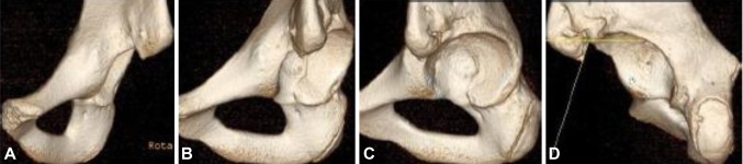 Fig. 3A–D