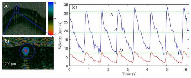 Fig. 8