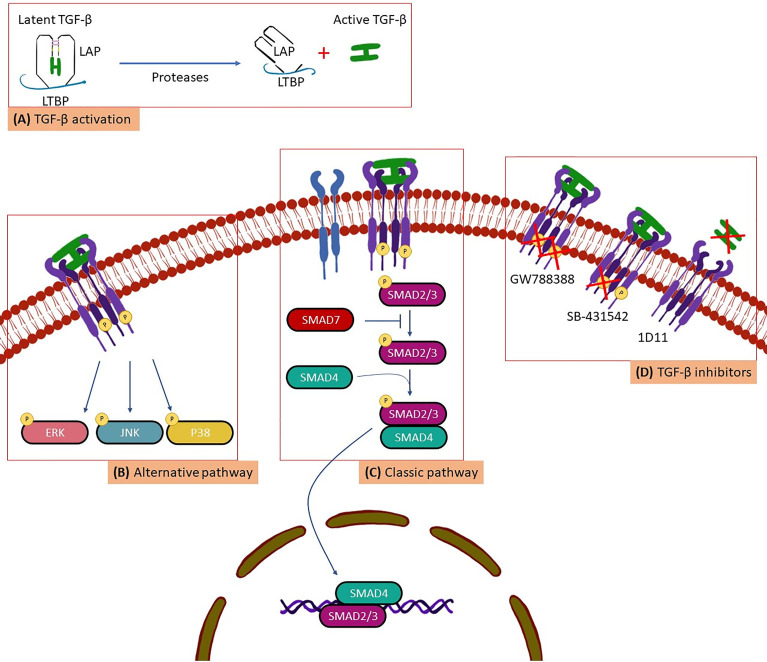 Figure 1