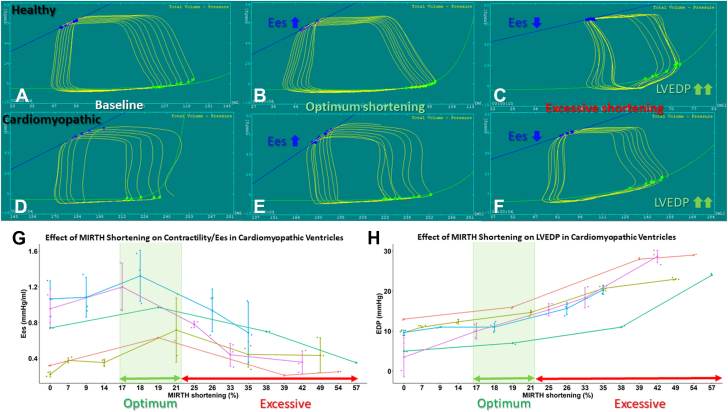 Figure 6