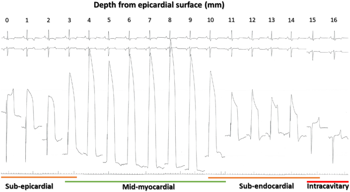 Figure 3