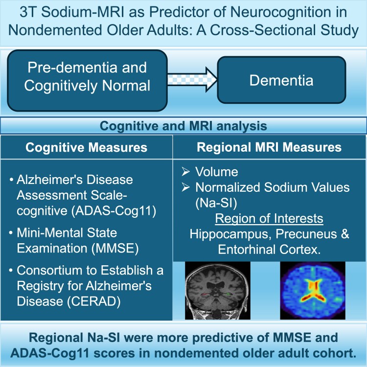 Graphical Abstract