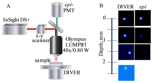 Fig. 2