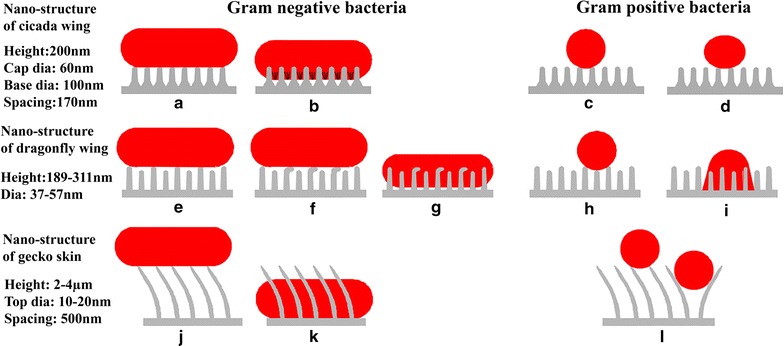 Fig. 4