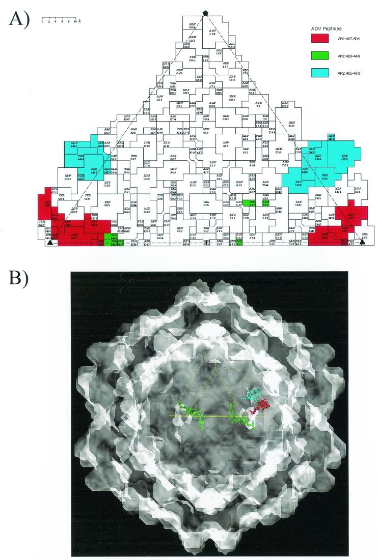 FIG. 6