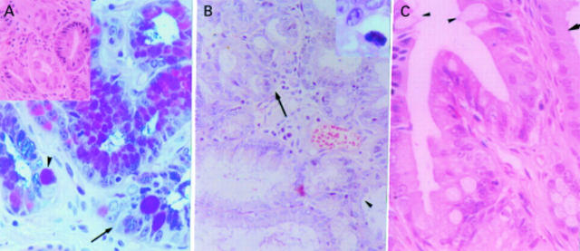 Figure 2  