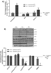 Fig 9