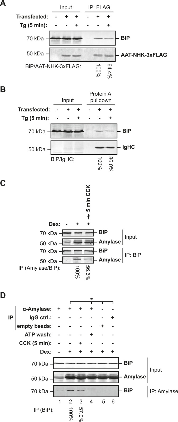 Figure 11.