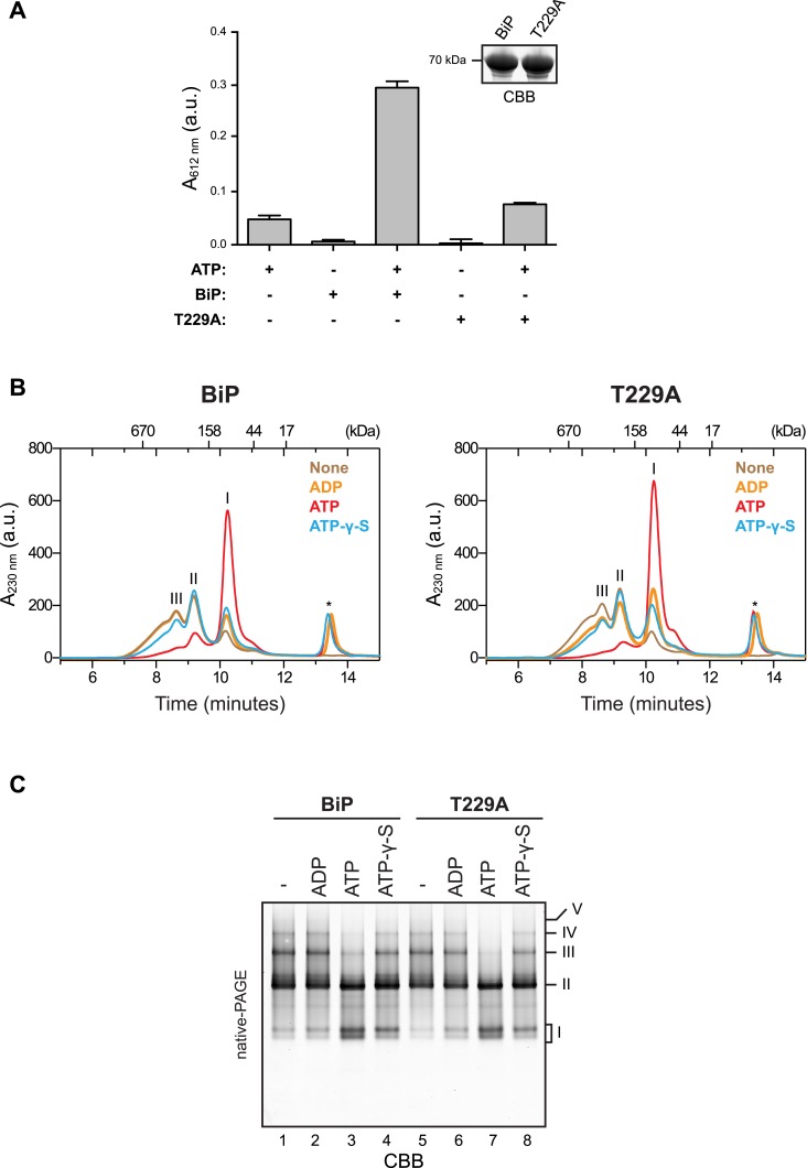 Figure 2—figure supplement 2.