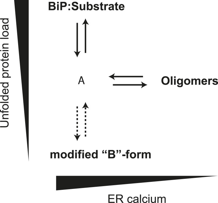 Figure 12.