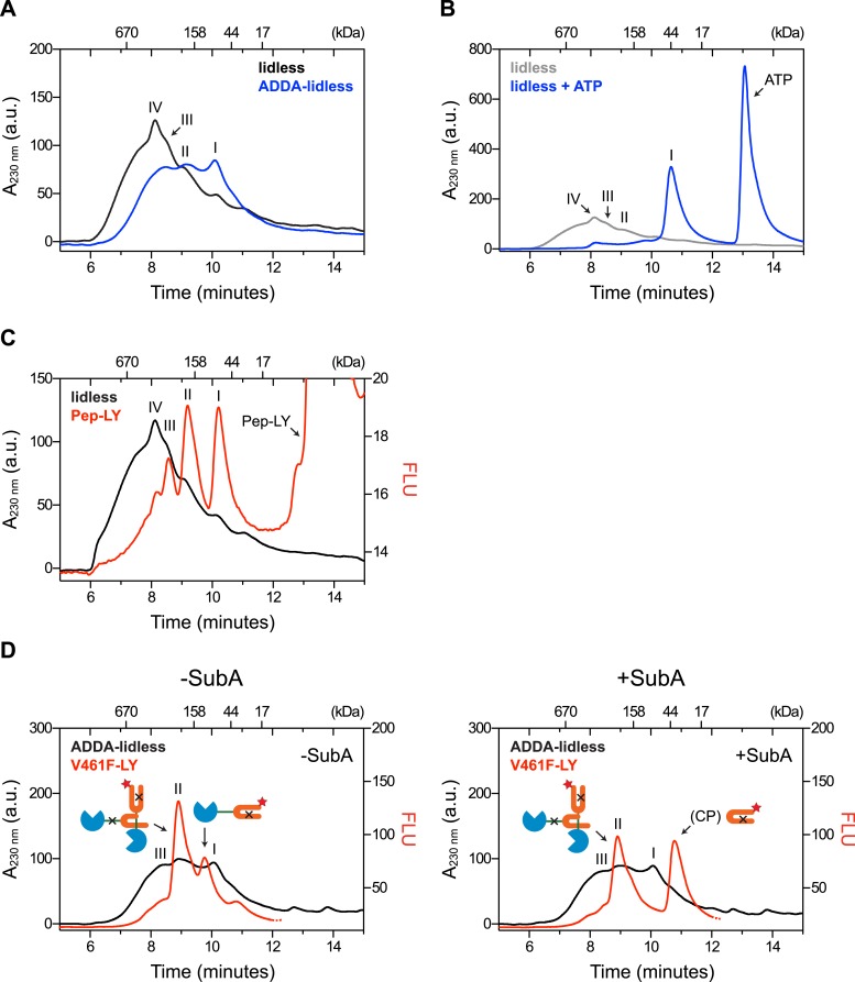 Figure 3—figure supplement 1.